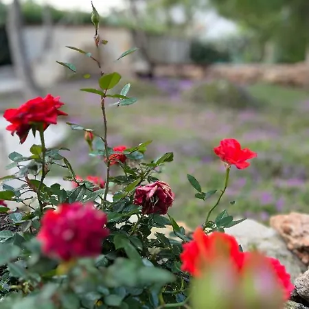 Frühstückspension Krasì