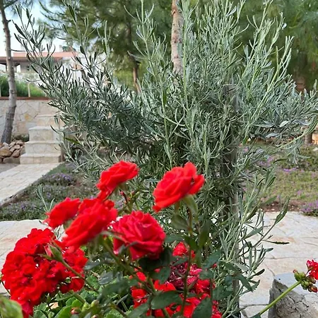 Krasi 住宿加早餐酒店 玛丽娜迪曼卡维萨