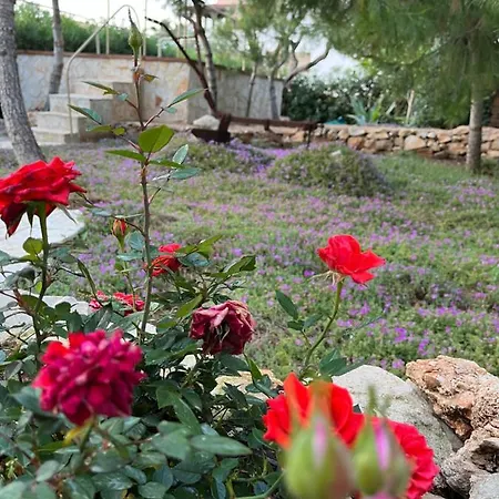 Krasi 住宿加早餐酒店