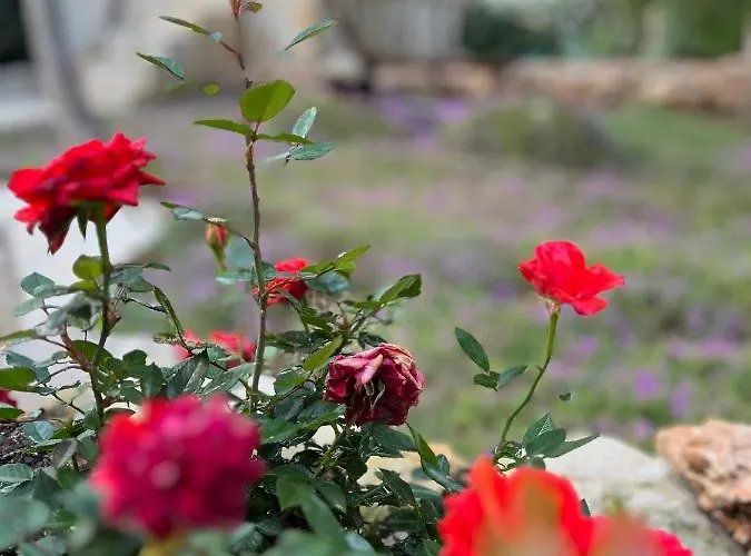 Frühstückspension Krasì